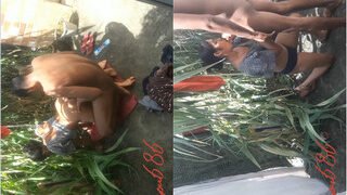 Desi Bhabhi Blowjob And Fucking | Viral MMS